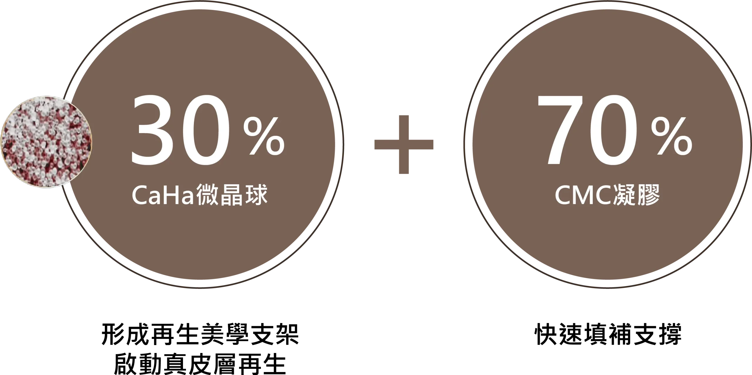 晶亮瓷成分結構說明，由 30% CaHa 微晶球（可形成再生美學支架，啟動真皮層再生）與 70% CMC 凝膠（提供快速填補支撐）組成。