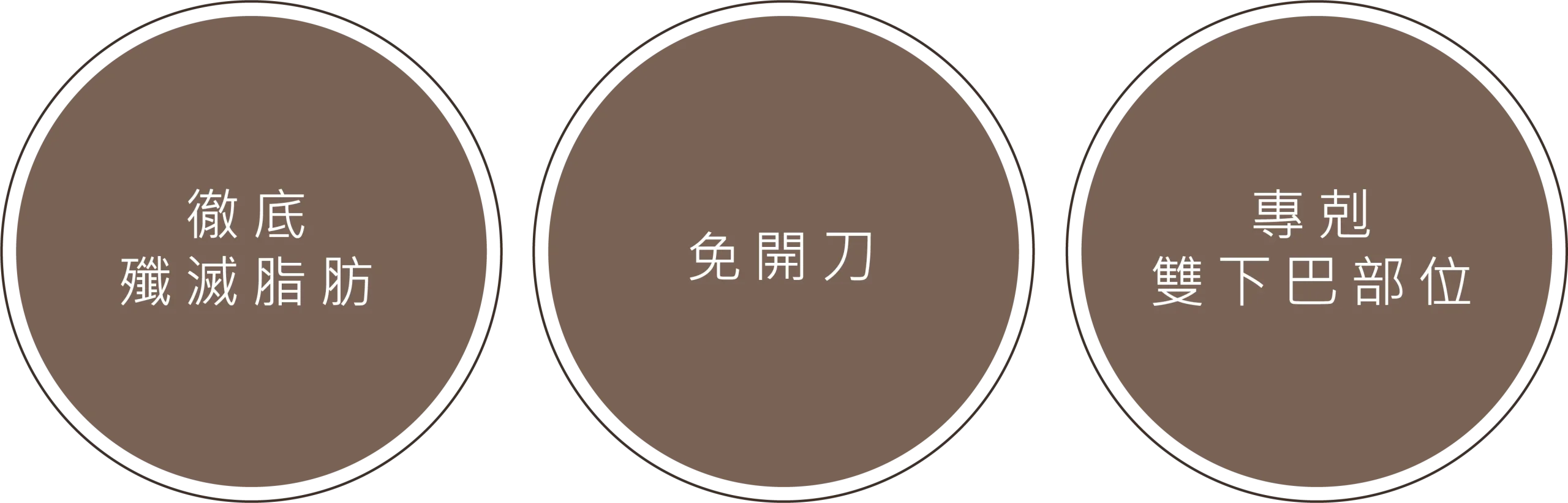 容脂針三大療程特色圖示：徹底殲滅脂肪、免開刀，以及專剋雙下巴部位。