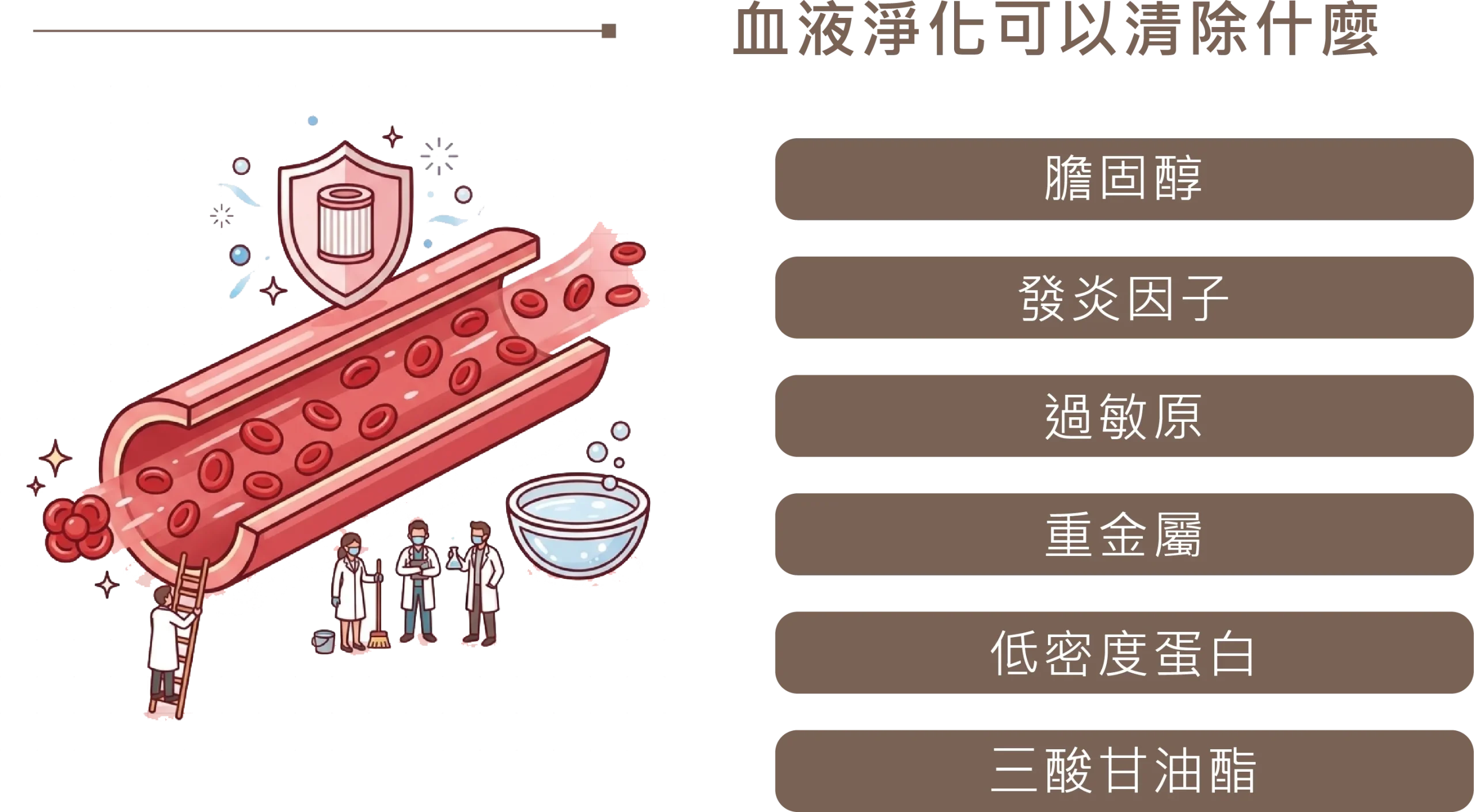 血液淨化可以清除什麼：膽固醇、發炎因子、過敏原、重金屬、低密度蛋白、三酸甘油酯示意圖