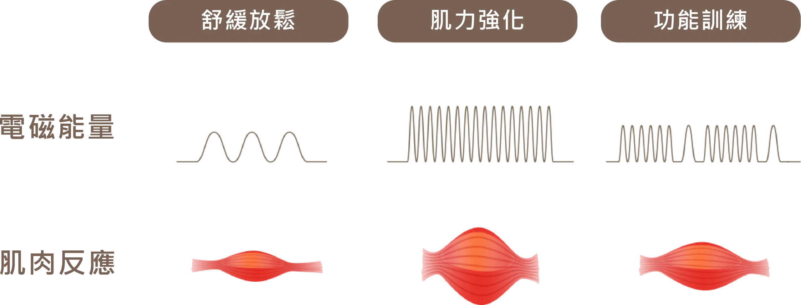 電磁能量波形與肌肉反應對照圖：舒緩放鬆、肌力強化、功能訓練三種模式的波形與肌肉收縮反應
